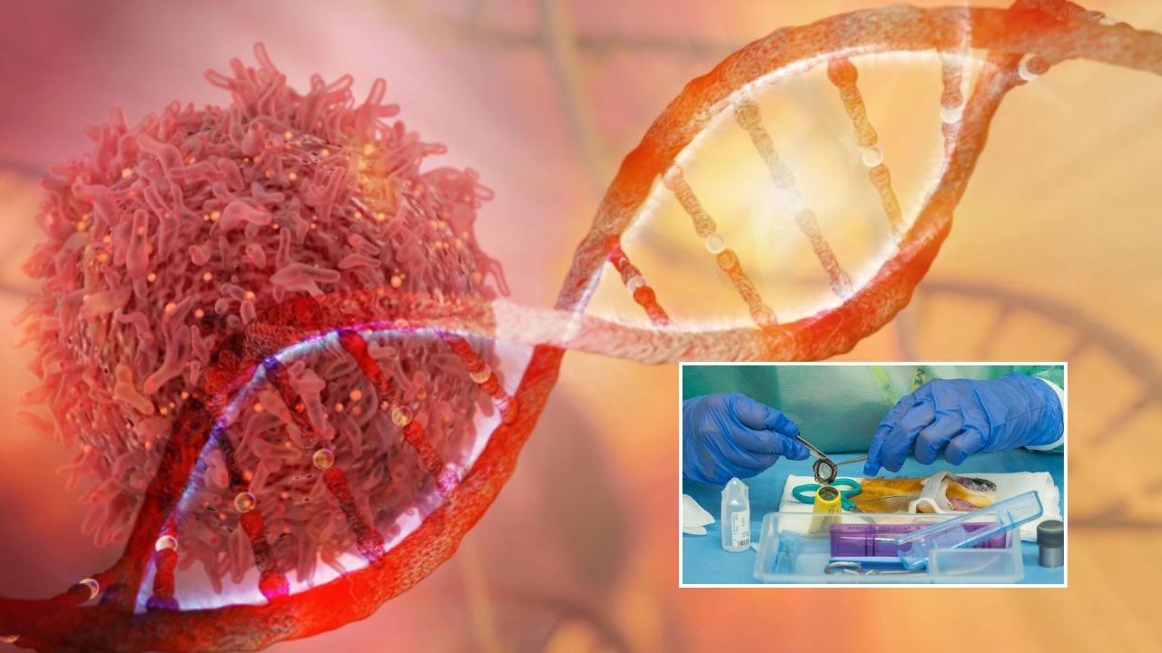 IIT मद्रासने लॉंच केली कर्करोग जीनोम आणि टिशू बँक, उपचारांमध्ये होणार मोठा बदल?