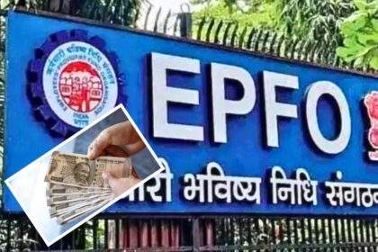 EPFO खात्यात तुमच्या कंपनीने पैसे जमा केले की नाही? कुठे आणि कसं चेक कराल? वाचा सविस्तर