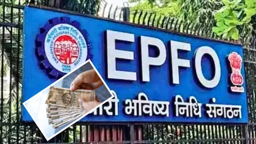 EPFO खात्यात तुमच्या कंपनीने पैसे जमा केले की नाही? कुठे आणि कसं चेक कराल? वाचा सविस्तर