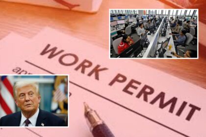 ट्रम्प प्रशासनाचा विदेशी व्हीसा धारकांना पुन्हा धक्का, 'वर्क परमिट'ची छाननी होणार
