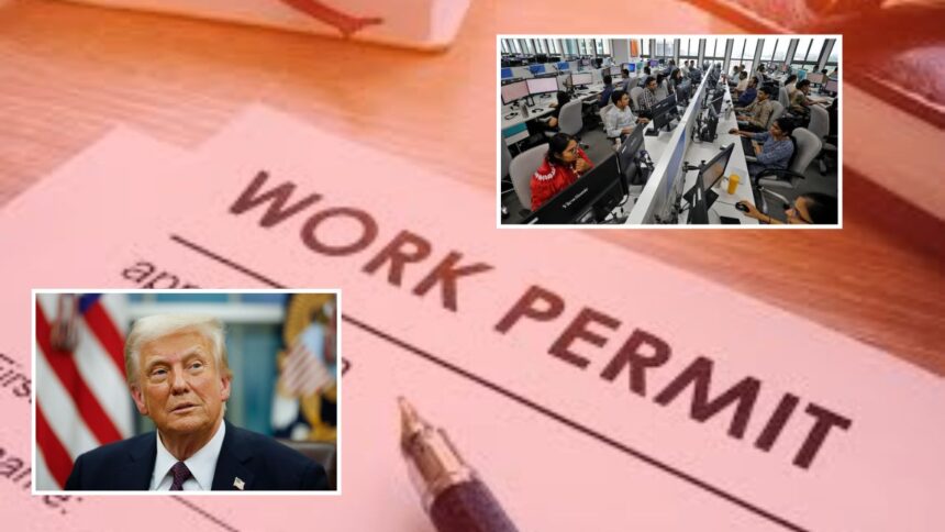 ट्रम्प प्रशासनाचा विदेशी व्हीसा धारकांना पुन्हा धक्का, 'वर्क परमिट'ची छाननी होणार