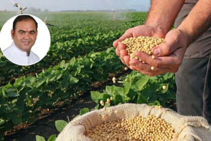 १८,५०,००० हजार मेट्रिक टन सोयाबीन खरेदीचे उद्दिष्ट, माहिती पणन मंत्री जयकुमार रावल यांची माहिती
