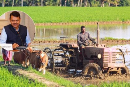 २५ लाख हेक्टर जमीन नैसर्गिक शेतीखाली आणणार, CM देवेंद्र फडणवीस यांची माहिती