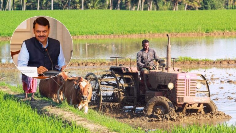 २५ लाख हेक्टर जमीन नैसर्गिक शेतीखाली आणणार, CM देवेंद्र फडणवीस यांची माहिती