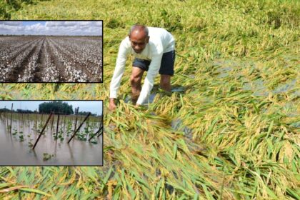 महाराष्ट्रातील नुकसानीच्या पाहणीसाठी केंद्रीय पथक येणार, अतिवृष्टीग्रस्तांच्या वाढीव मदतीसाठी दौरा
